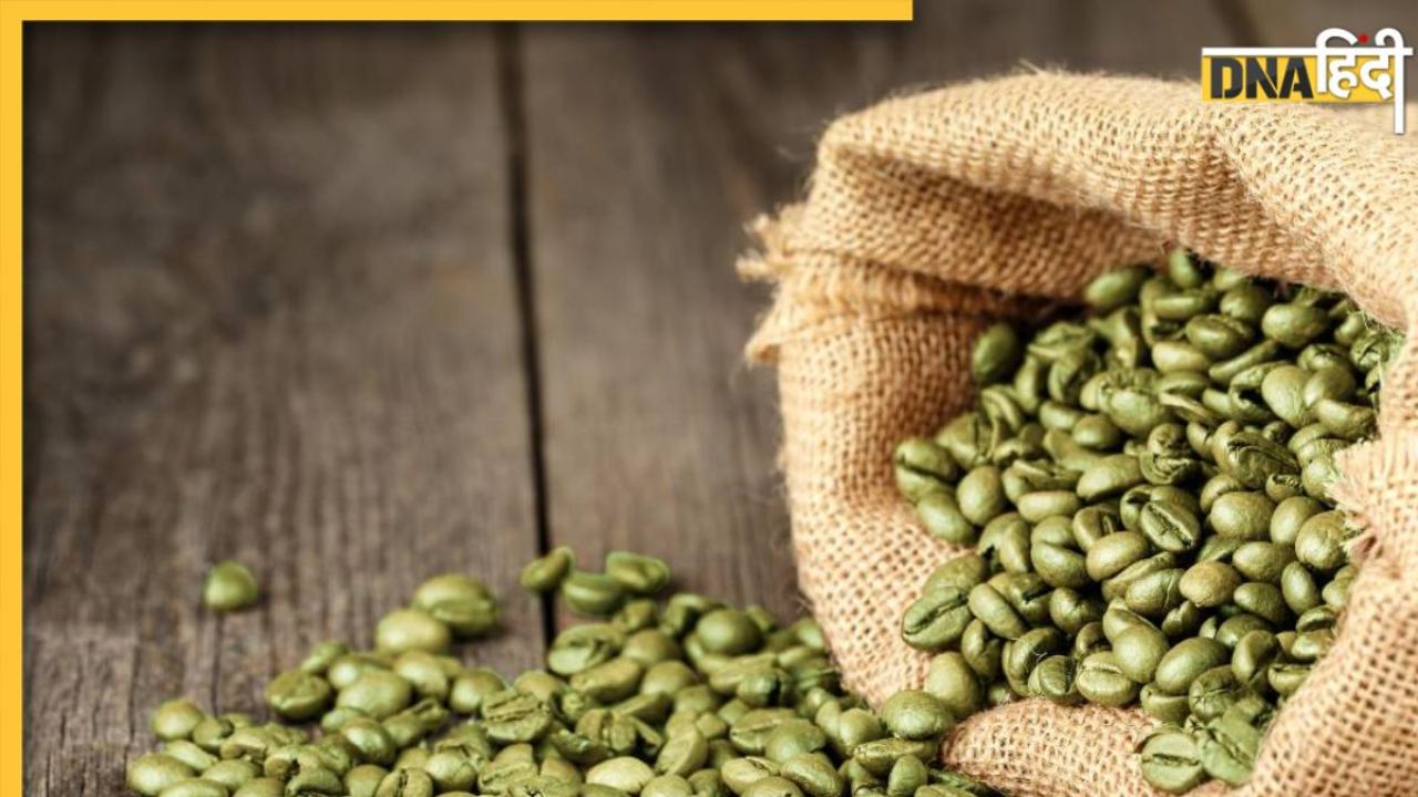 Green Coffee Benefits: इन हरे-भरे कॉफी के दाने में है आपकी 7 बीमारियों का इलाज, शुगर से लेकर वेट तक कम हो जाएगा