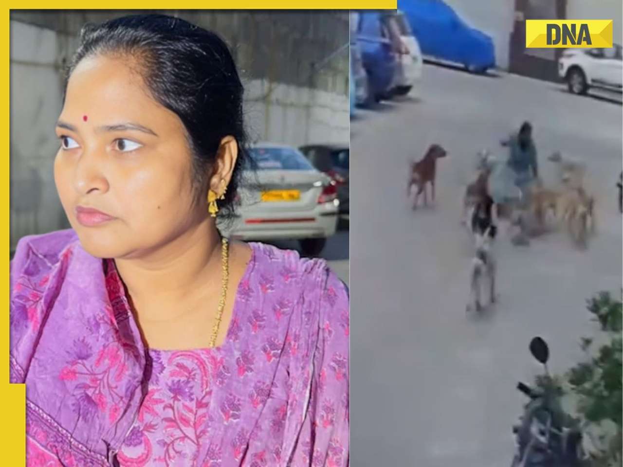 Viral Video: Woman attacked by 15 stray dogs, watch
