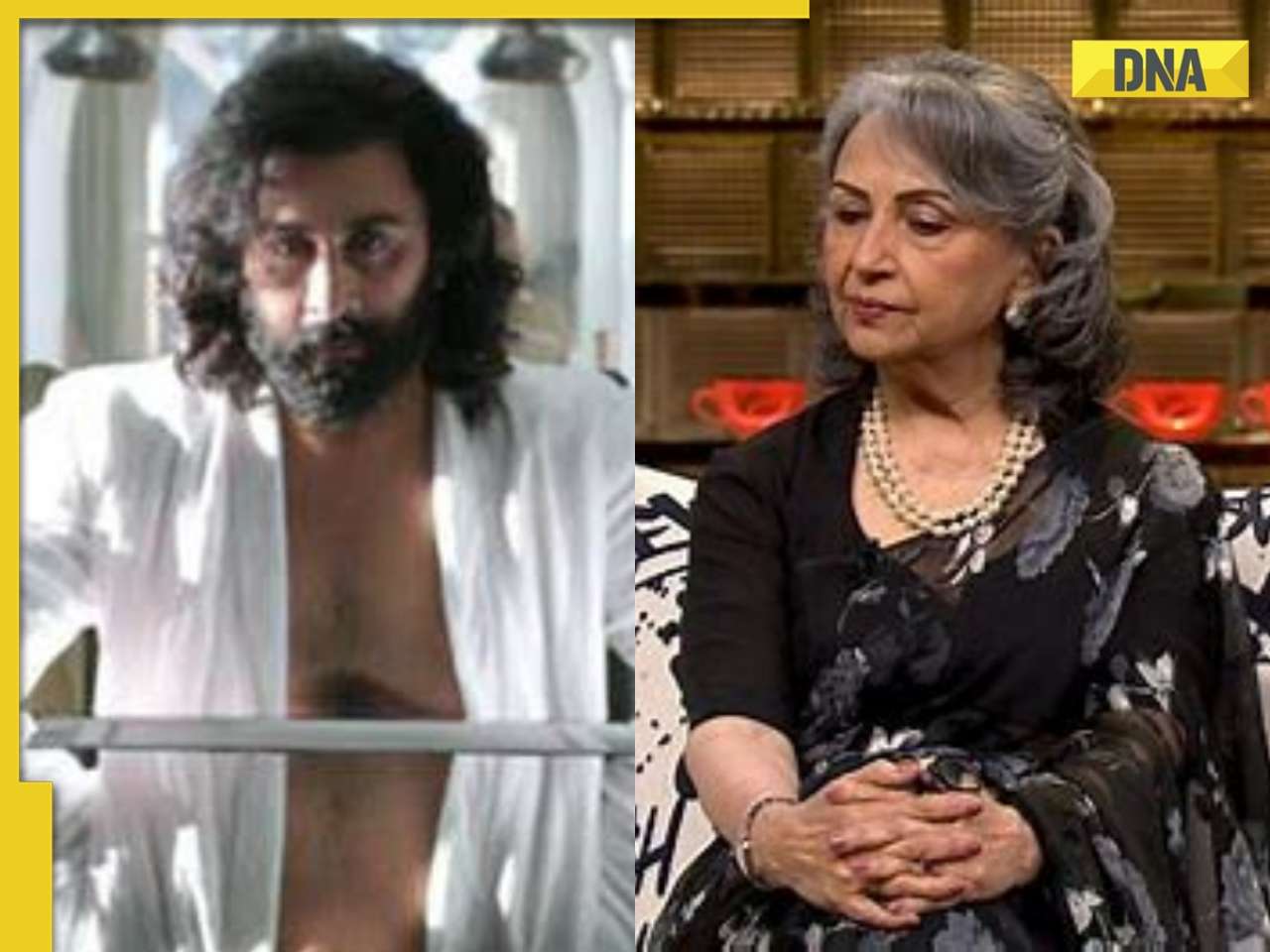 Sharmila Tagore slams Ranbir Kapoor's Animal for 'misogyny', shares why it 'can't be rubbished': 'A lot of women...'