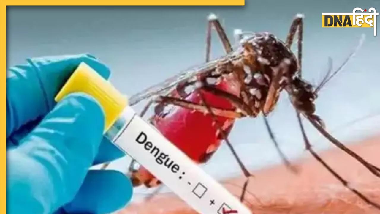 Karnataka Dengue Case: कर्नाटक में डेंगू का कहर, बेंगलुरु में ही 7 लोगों की मौत, स्वास्थ्य विभाग ने जारी किया अलर्ट