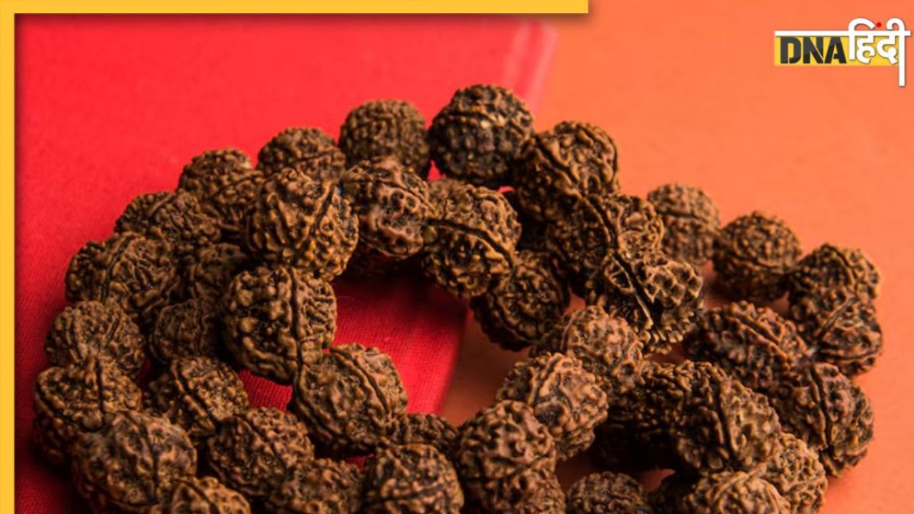 किस राशि के लोगों को कौन सा Rudraksha करना चाहिए धारण? जान लें नियम