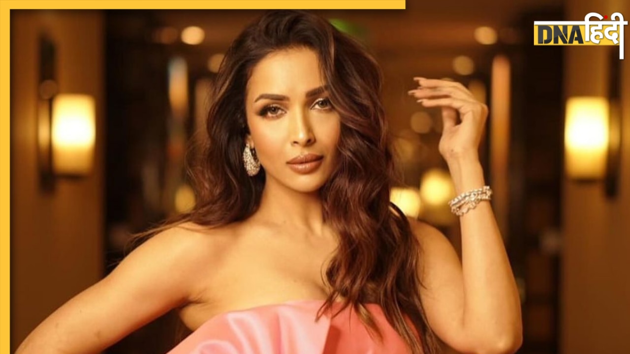 Arjun Kapoor को छोड़ इस Mystery Man के साथ विदेश घूम रही हैं Malaika Arora? दिखाई धुंधली झलक