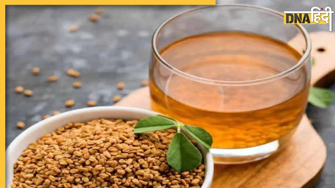 Fenugreek Seeds Benefits: वजन कम करने के साथ ही झड़ते बालों को मजबूत कर देगी मेथी, जानिए इसके और भी फायदे