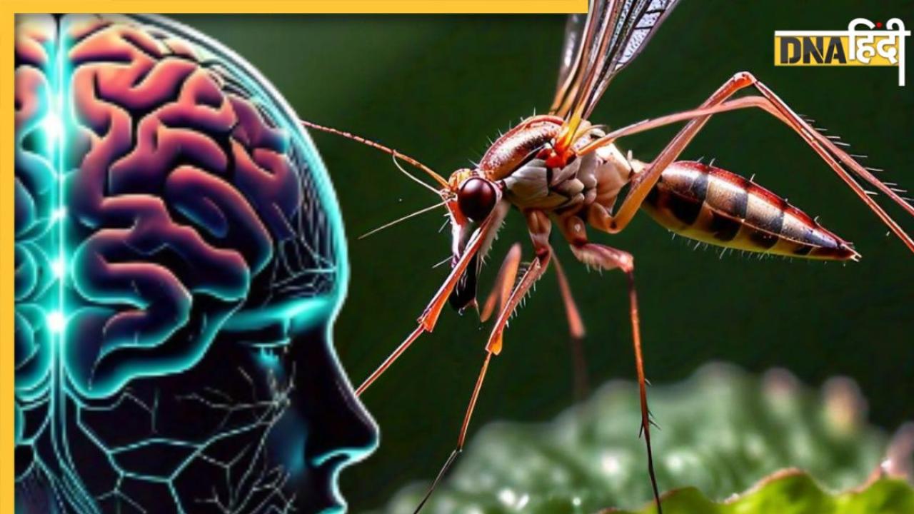 शरीर ही नहीं, दिमाग और Nervous System पर भी अटैक करता है Dengue