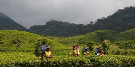 Sri-lanka