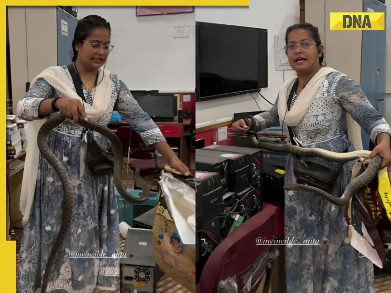 Viral video: Woman calmly rescues snake hidden behind office desk, internet is impressed