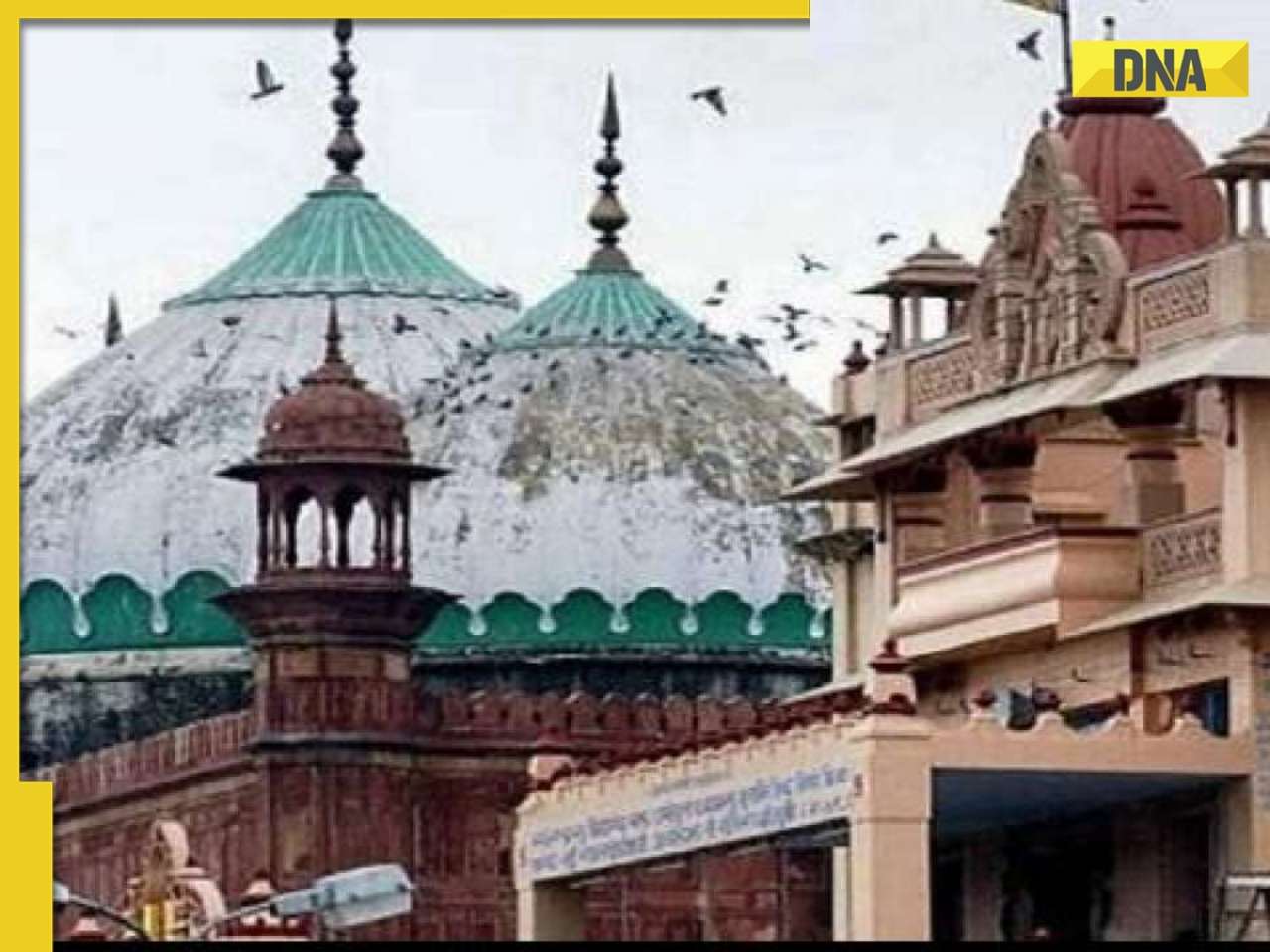 Mathura temple-mosque dispute: Allahabad HC dismisses Muslim side's petition, says cases maintainable