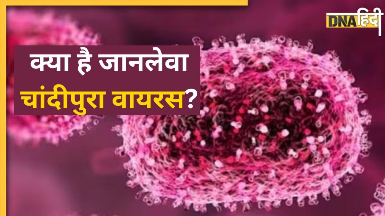 क्या है Chandipura Virus? गुजरात के बाद राजस्थान में पैर पसार रही ये खतरनाक बीमारी