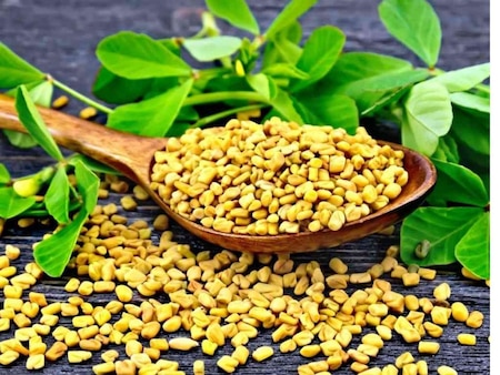 Fenugreek Seeds