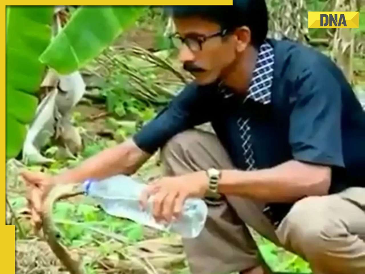 Viral video: Man feeds water to thirsty cobra with bottle, internet reacts