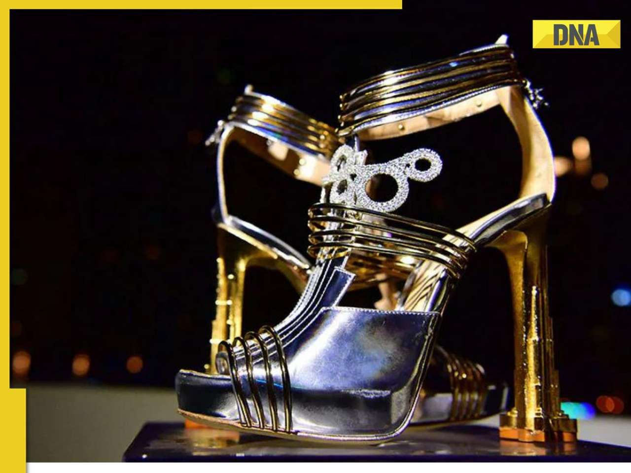 World's most expensive shoes, designed by Italian man, cost Rs...