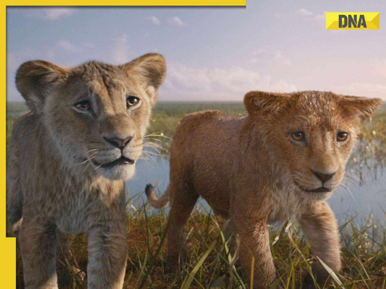 Mufasa The Lion King trailer Disney prequel shows rise of an orphaned cub to king fans say we want SRK s voice