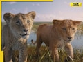 Mufasa The Lion King trailer: Disney prequel shows rise of an orphaned cub to king, fans say 'we want SRK's voice'