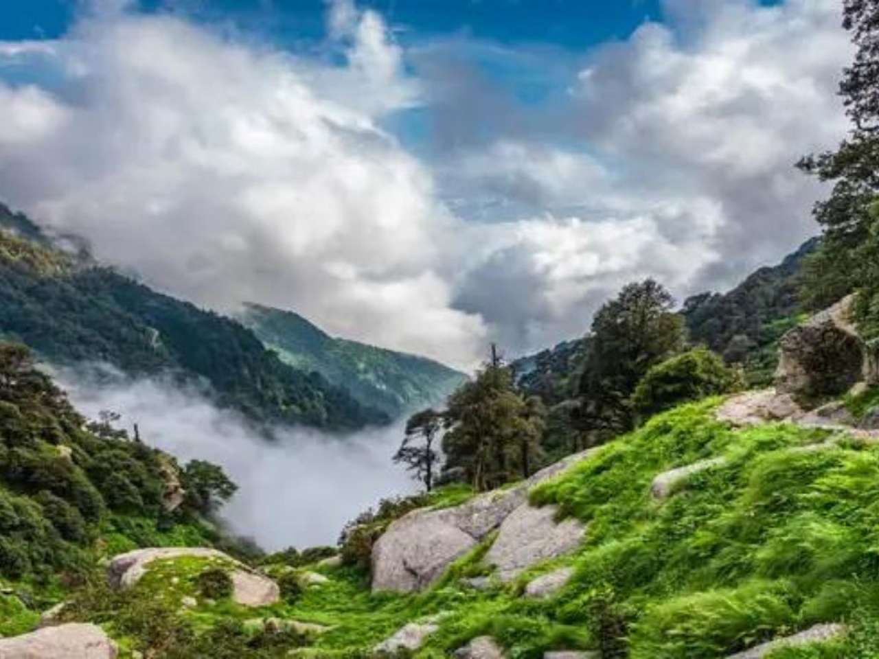 McLeod Ganj, Himachal Pradesh