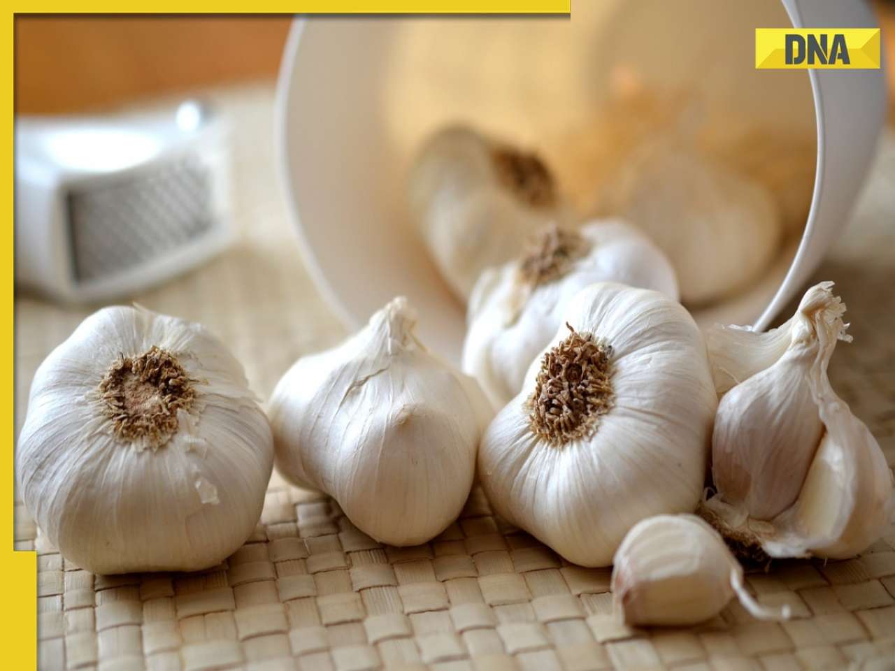 Is garlic vegetable or spice? Madhya Pradesh HC says...