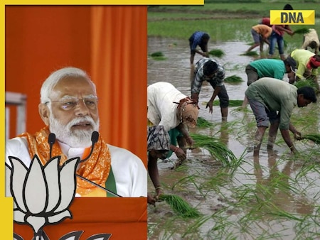  PM-KISAN 18th Installment likely to be released on... know how to check beneficiary status 