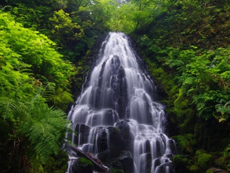 Chadwick Falls