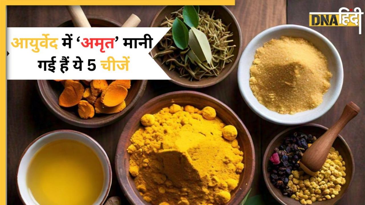 Ayurveda में इन 5 चीजों को माना जाता है 'अमृत', एक नहीं, इनमें छिपा है कई बीमारियों का इलाज