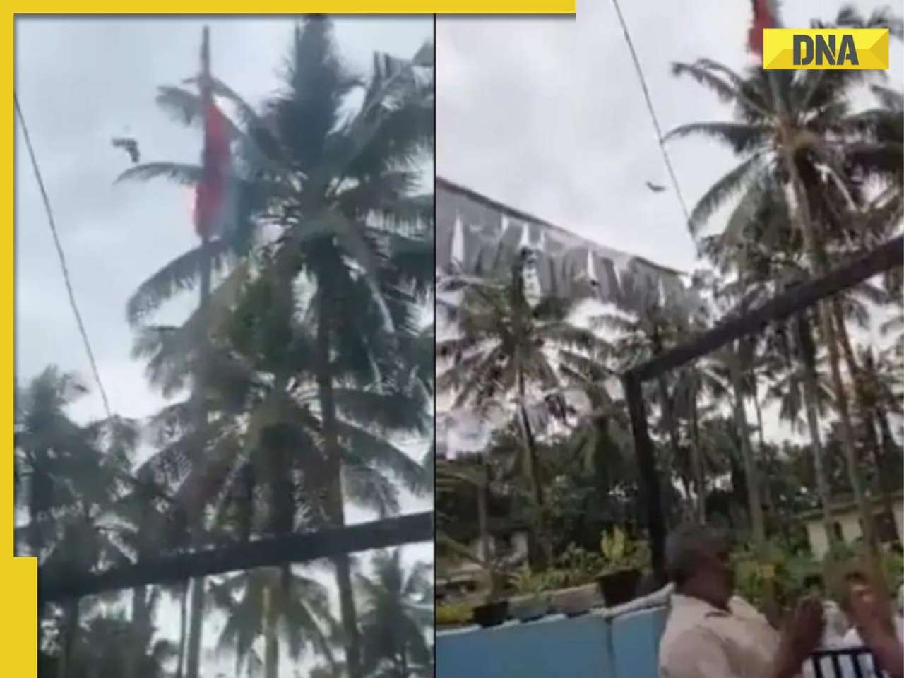 Viral: Bird seen unfurling stuck Indian flag, sparks mixed reactions online, watch video