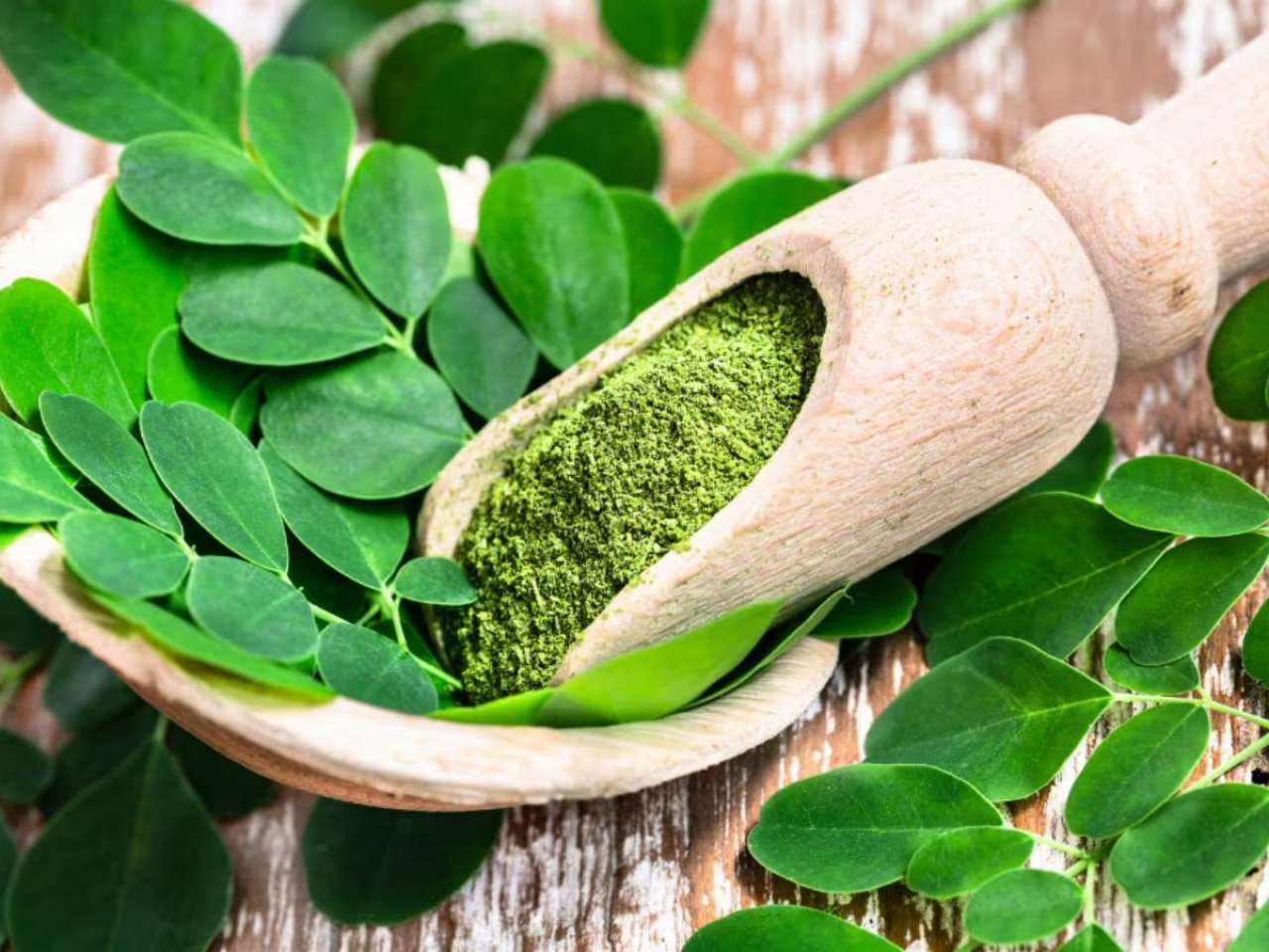 5 health benefits of consuming moringa leaves every morning