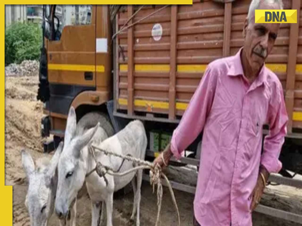 Meet the former IAS Officer who roams around with two donkeys due to..., the reason will shock you