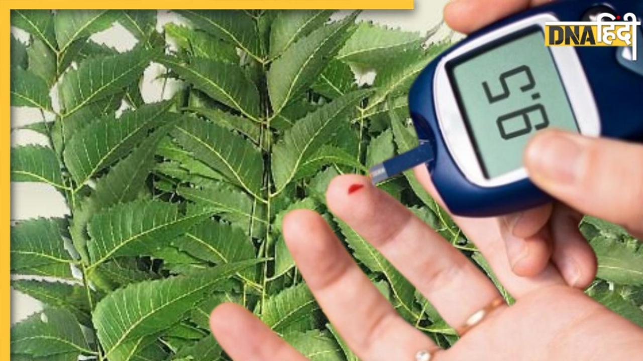 Blood Sugar Level को कंट्रोल कर देंगी इन 4 पौधों की पत्तियां, Diabetes मरीज के लिए हैं रामबाण