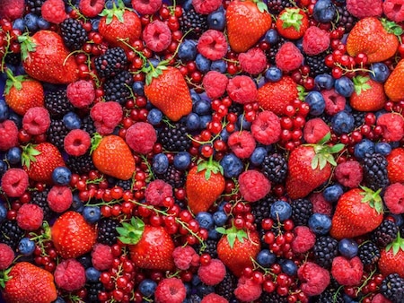 Berries