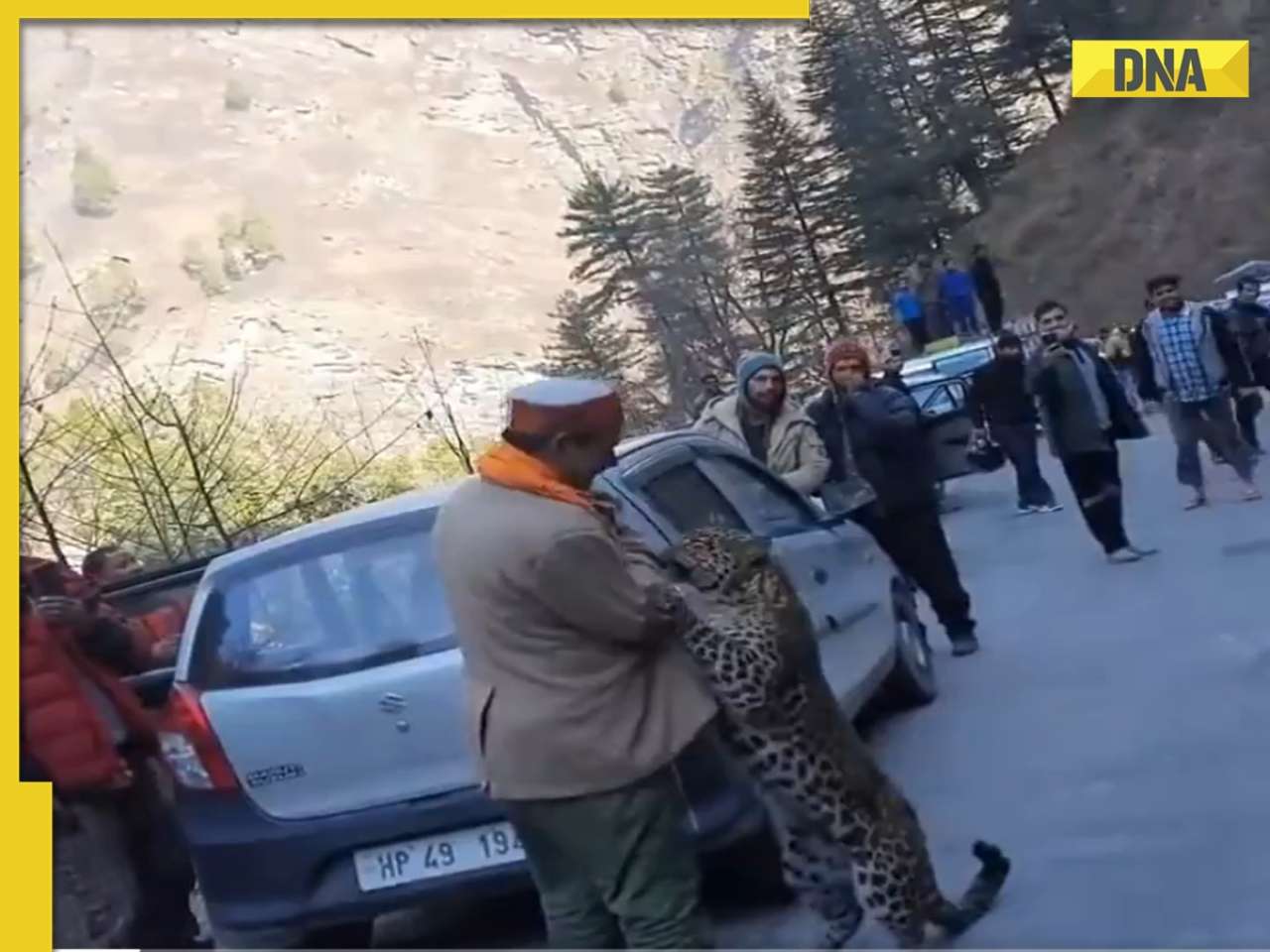 Video of man playing with leopard goes viral, what was revealed later will melt your heart! WATCH