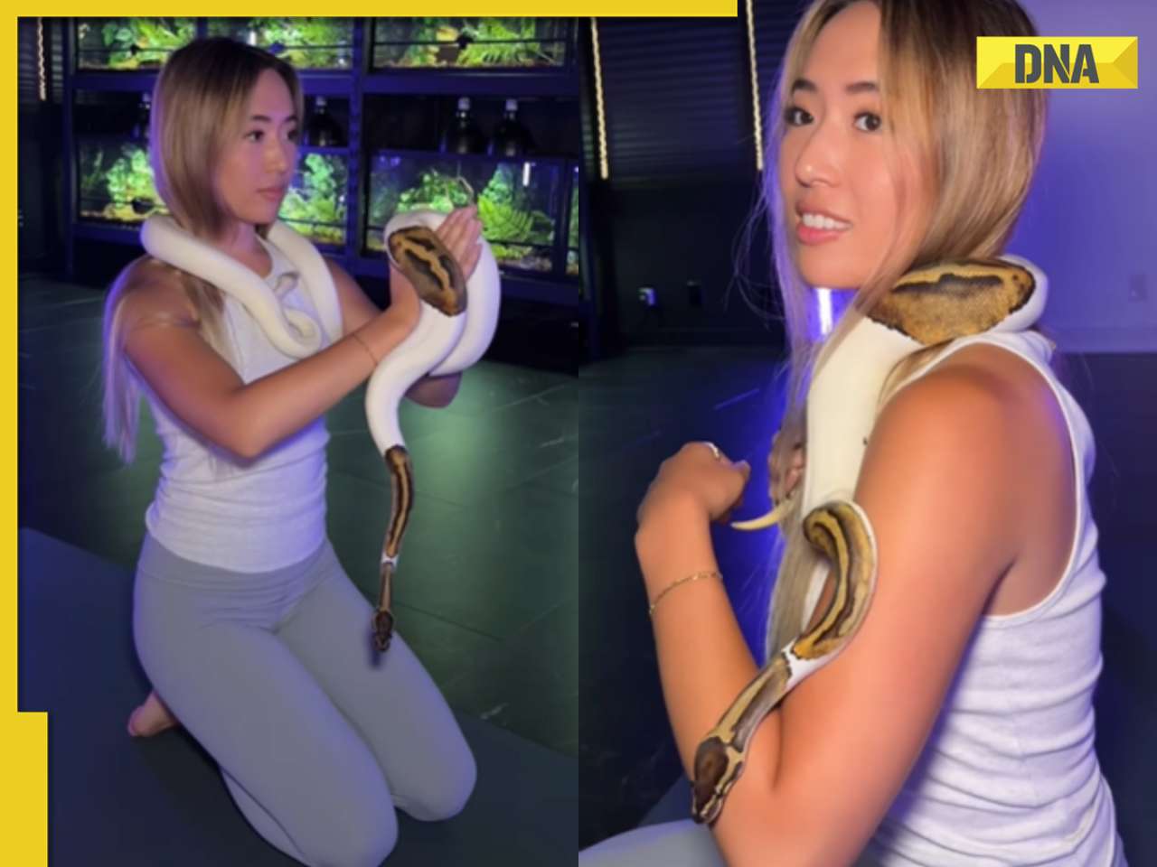 Viral video: Internet erupts over woman using python as yoga prop, watch