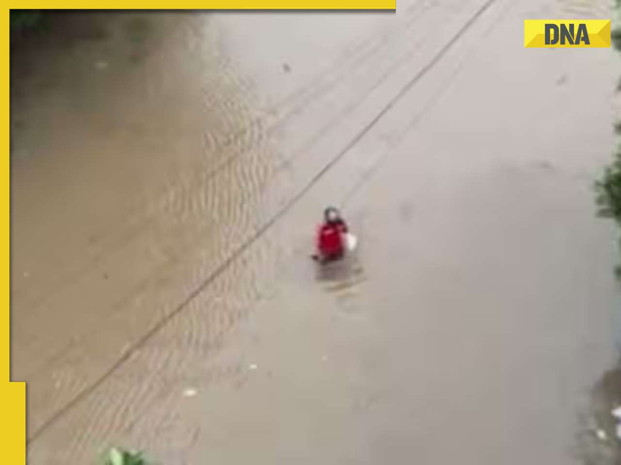 Viral video: Zomato delivery agent in Ahmedabad becomes internet sensation for braving floods to deliver food