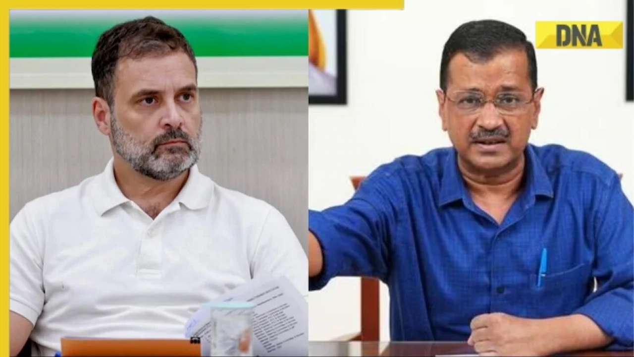 Haryana Assembly Elections 2024: Congress-AAP to announce alliance in Haryana? Rahul Gandhi, AAP MP Sanjay Singh say…