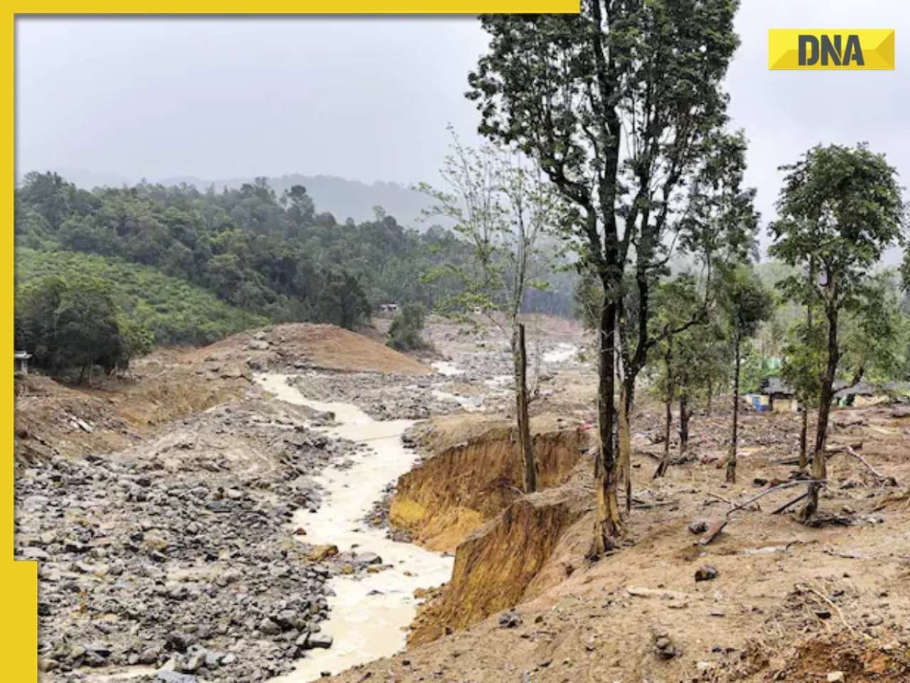 6 dead, 3 injured due to heavy rain, landslides in Nagaland; Rs 4 lakh ex-gratia announced