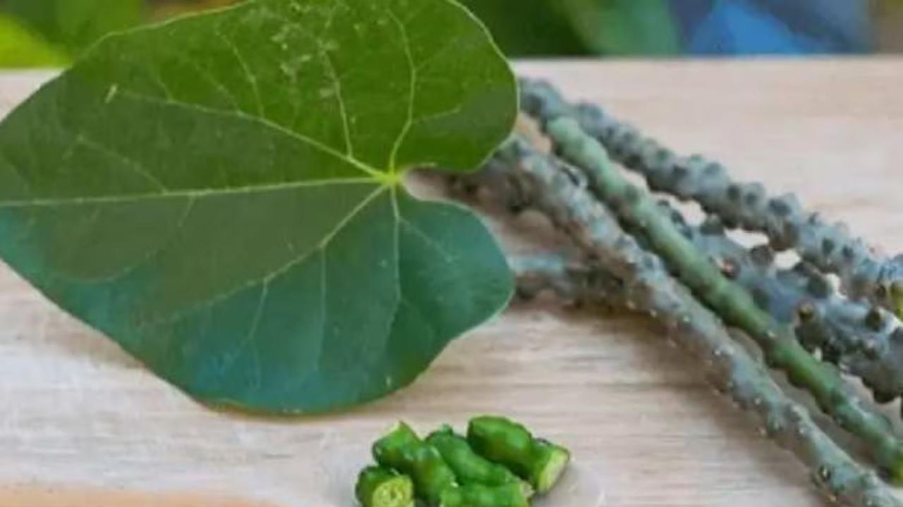 गिलोय का काढ़ा