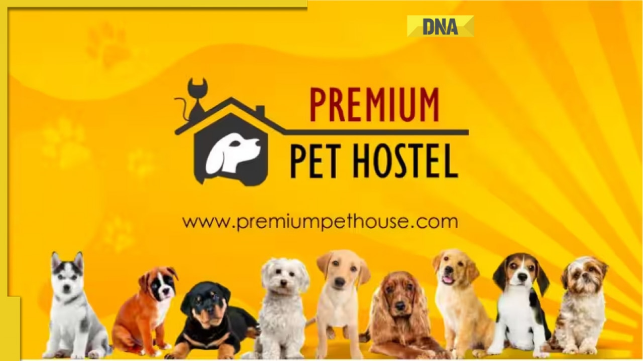 Premium Pet House Sells 300 Golden Retriever Puppies In August; Addresses The Breed’s Increasing Demand In India