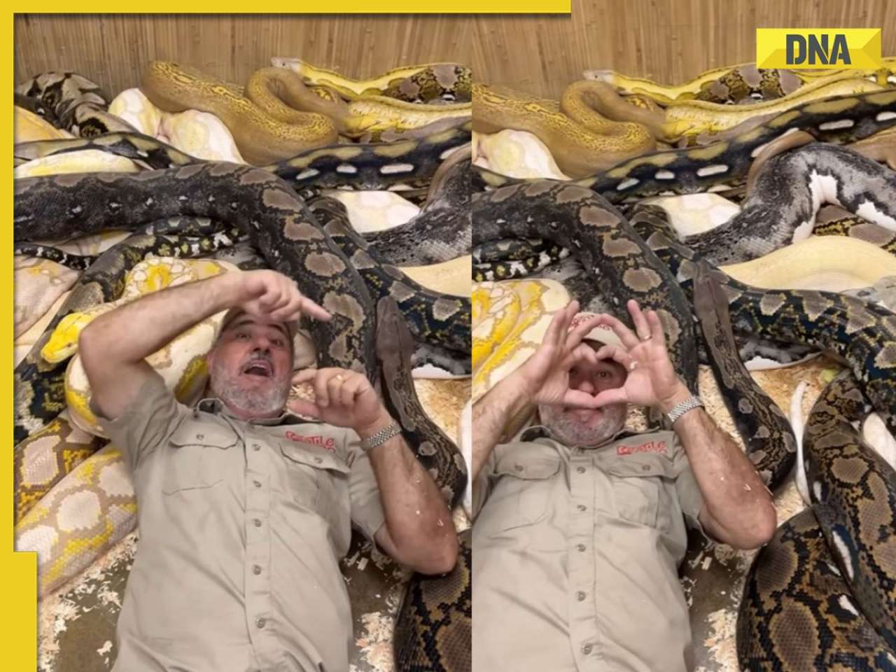 Shocking! Man throws a 'snake party' for his birthday, social media reacts