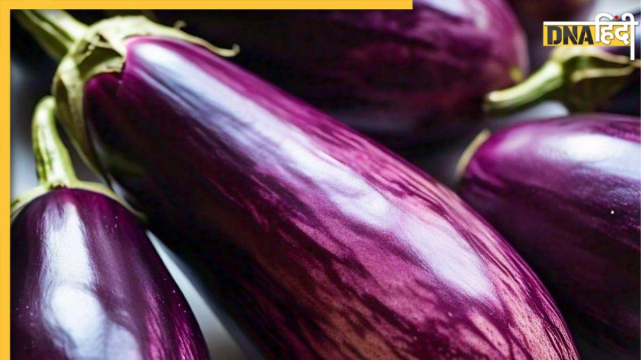 Brinjal Side Effects: इन 5 बीमारियों से जूझ रहे लोगों के लिए जहर है बैंगन, डाइट से तुरंत करें बाहर