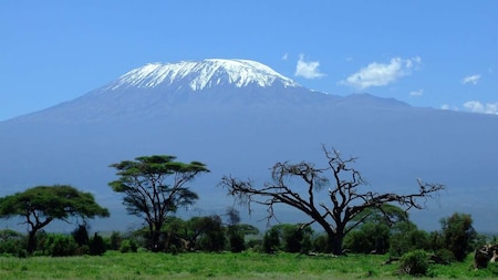 Kilimanjaro National Park - Tanzania