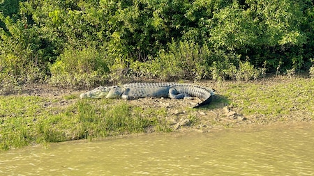 Bhitarkanika National Park