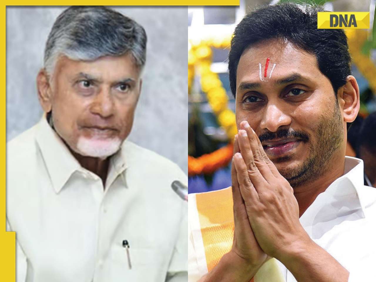 'Used animal fat instead of...': Andhra Pradesh CM Naidu accuses Jagan govt of 'adulterating' Tirupati Laddu prasadam