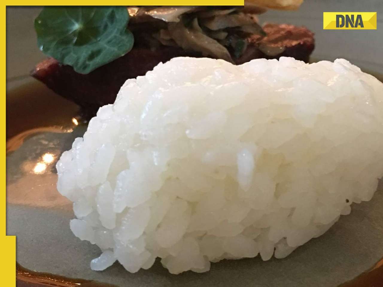 This is world's costliest rice, price of 1 kg will leave you shocked, it is grown in...