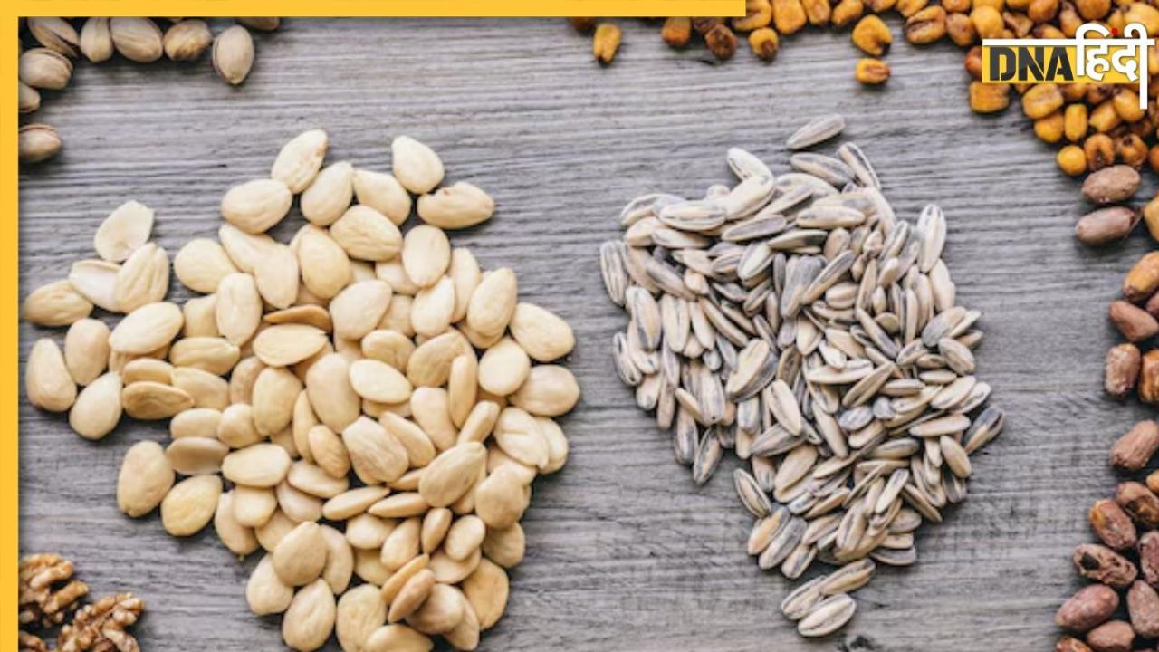 Seeds For Health: फलों से भी ज्यादा फायदेमंद है इन 5 तरह के बीजों का सेवन, कैंसर से लेकर डायबिटीज तक को रखते हैं दूर