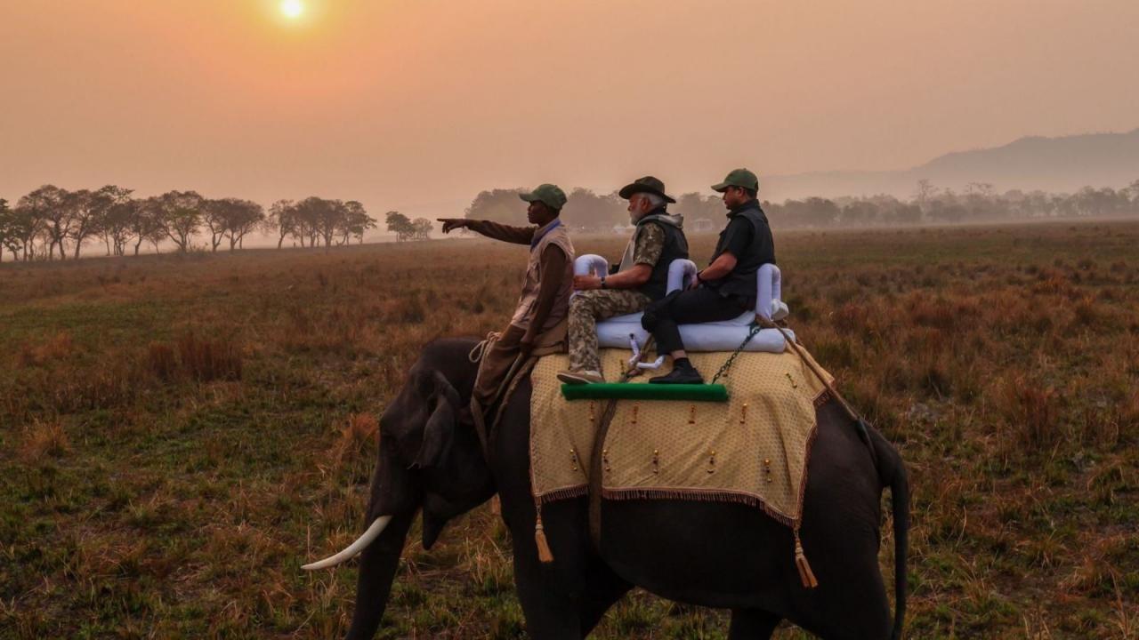 गैंडों की हैं पांच प्रजातियां