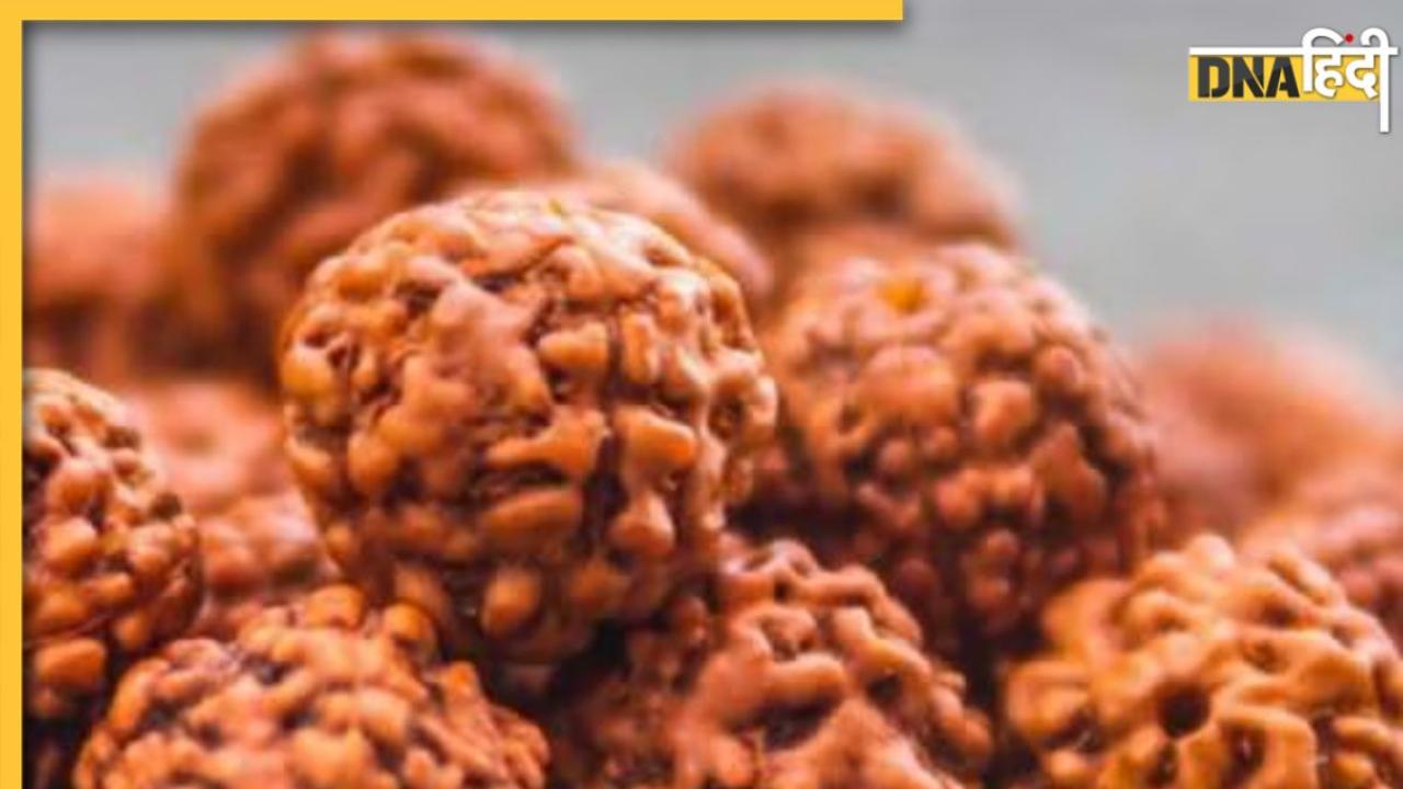 Rudraksha Rules: रुद्राक्ष धारण करने के बाद इन बातों का रखें ध्यान, वरना होगा नुकसान ही नुकसान