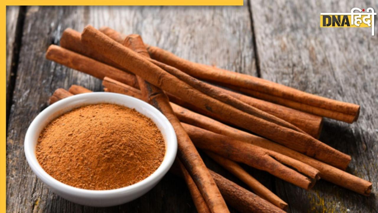 Cinnamon Benefits: इस भूरे मसाले की 1 चम्मच डायबिटीज से लेकर इंफेक्शन तक की कर देगी छुट्टी, खाते ही दिखेगा असर