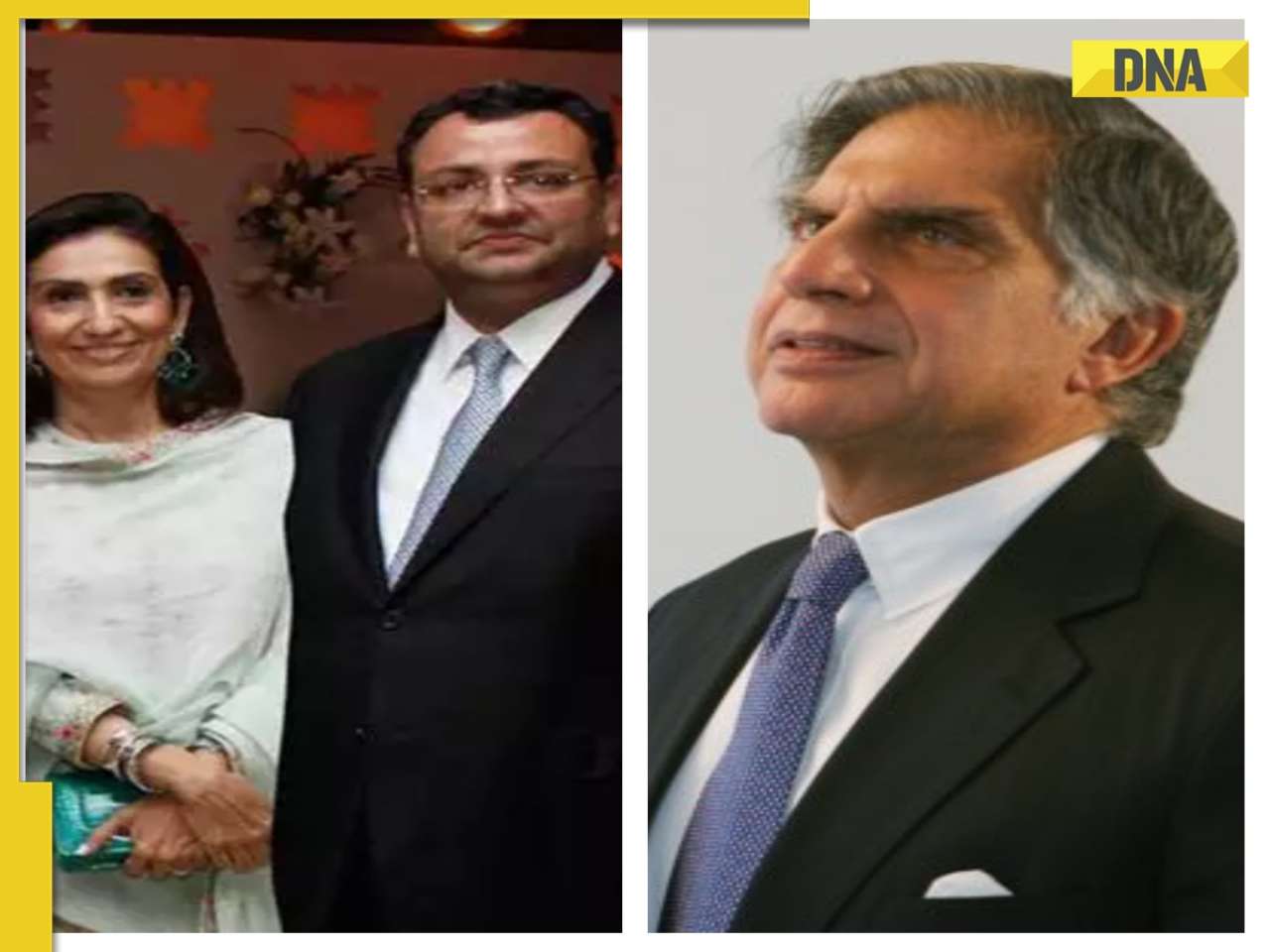 Meet India's second richest woman, has a Ratan Tata connection, her net worth is Rs...