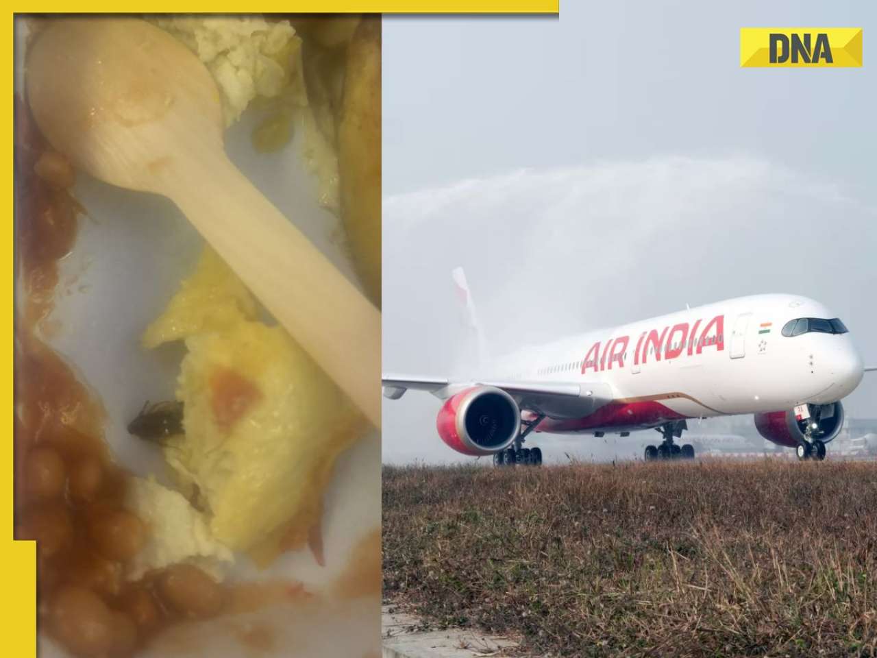 Air India passenger finds cockroach in food served on Delhi-New York flight; here’s what airline said