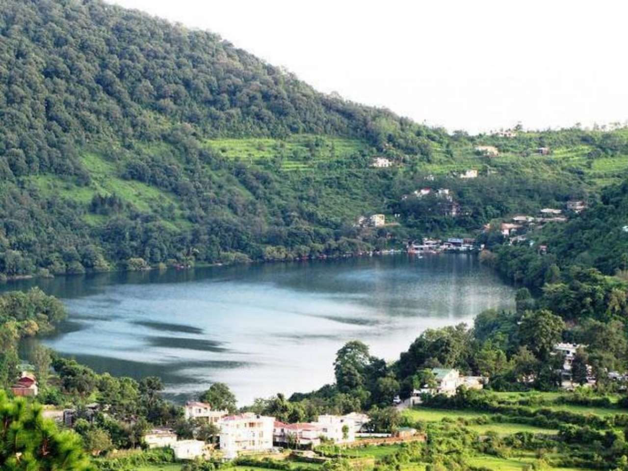 Jeolikot