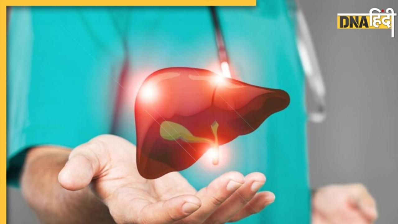 Liver Health: लिवर को डैमेज कर सकती हैं ये 5 चीजें, स्वस्थ रहने के लिए बना लें इनसे दूरी