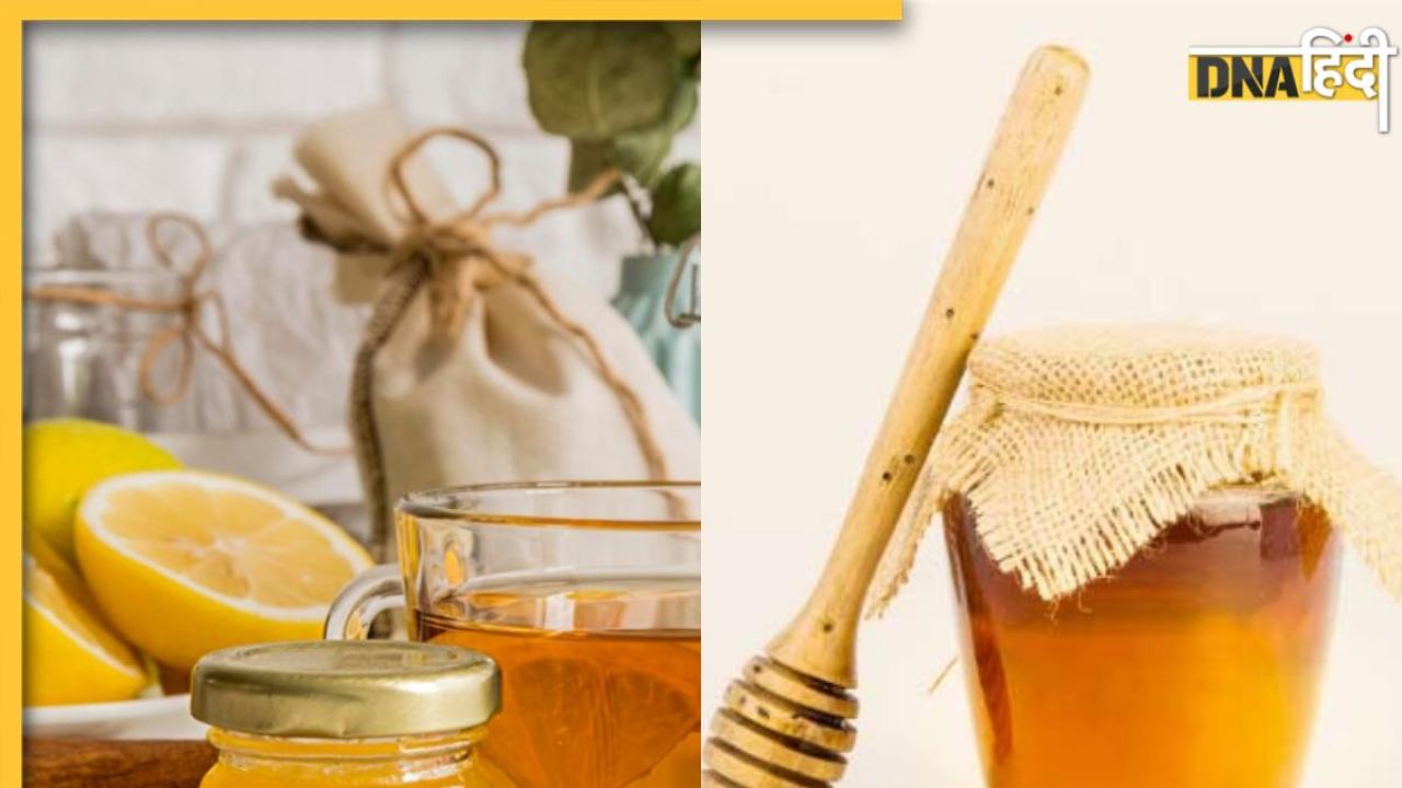 घर पर बना सकते हैं Vegan Honey, रसोई की इन 3 चीजों से बनाएं शहद, जानें आसान रेसिपी