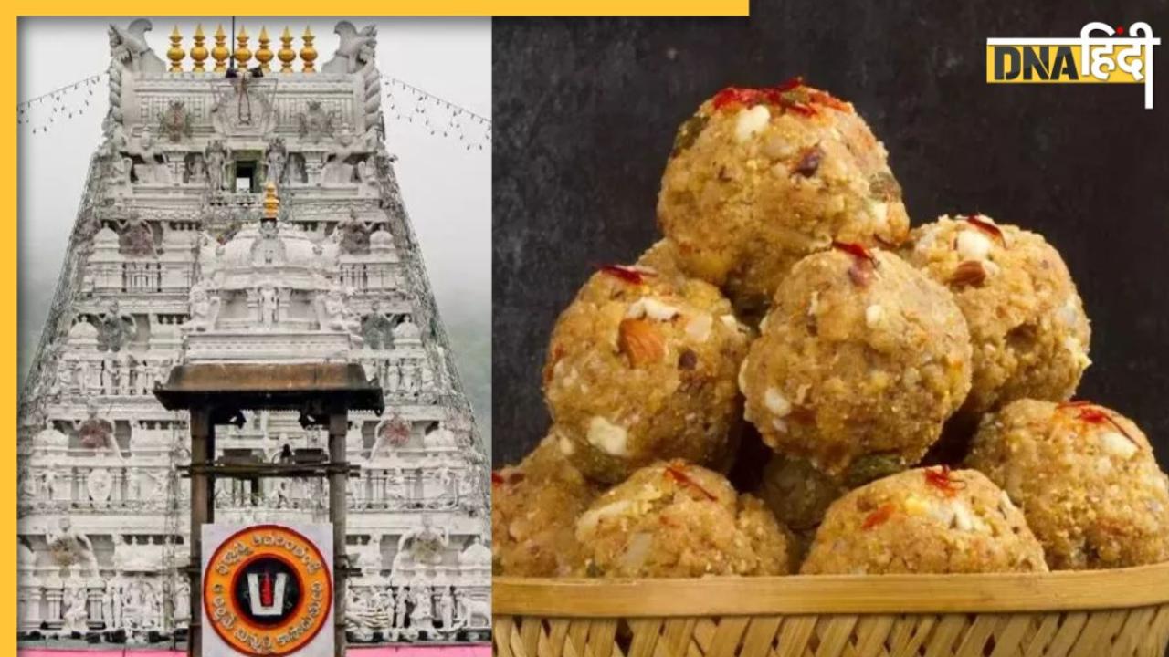 Tirupati Laddu में चर्बी मिलाने की जांच रुकी, Andhra Pradesh के DGP ने बताया है ये कारण